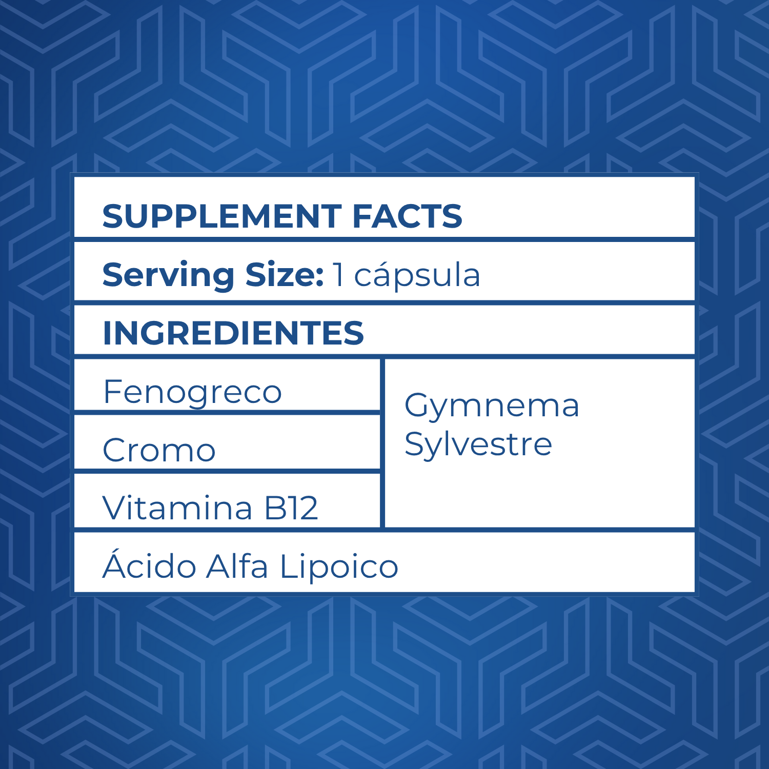 Diabetes Support 1 - 90 capsulas