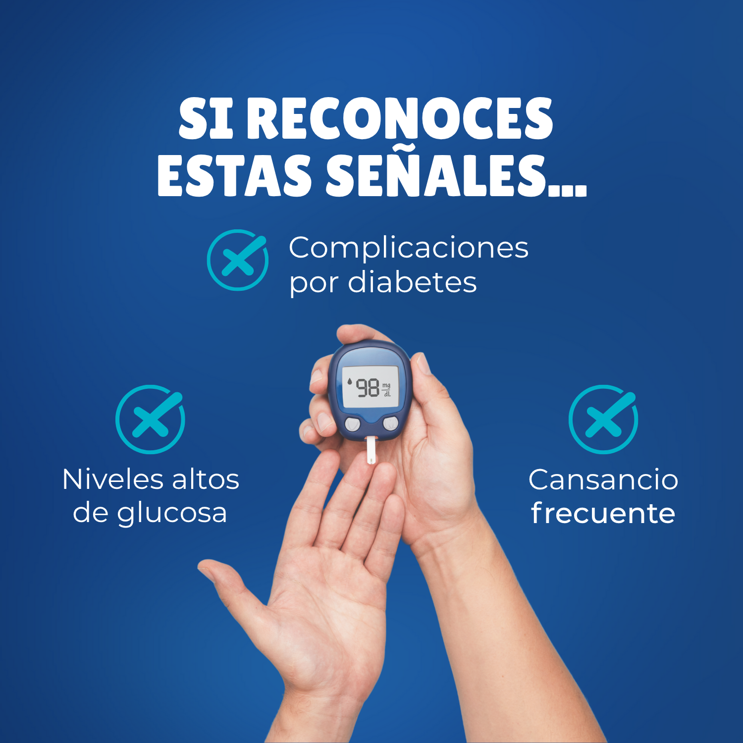 Diabetes Support 2 - 90 capsulas